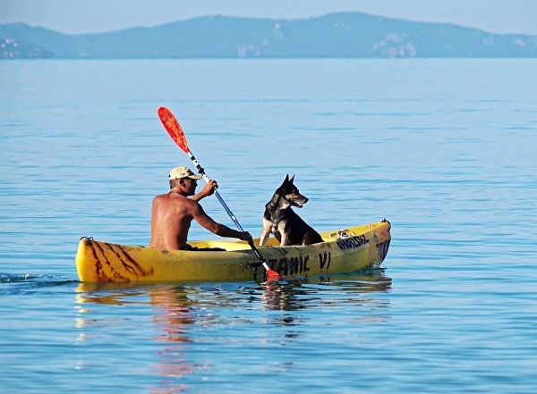 man-and-dog-in-canoe