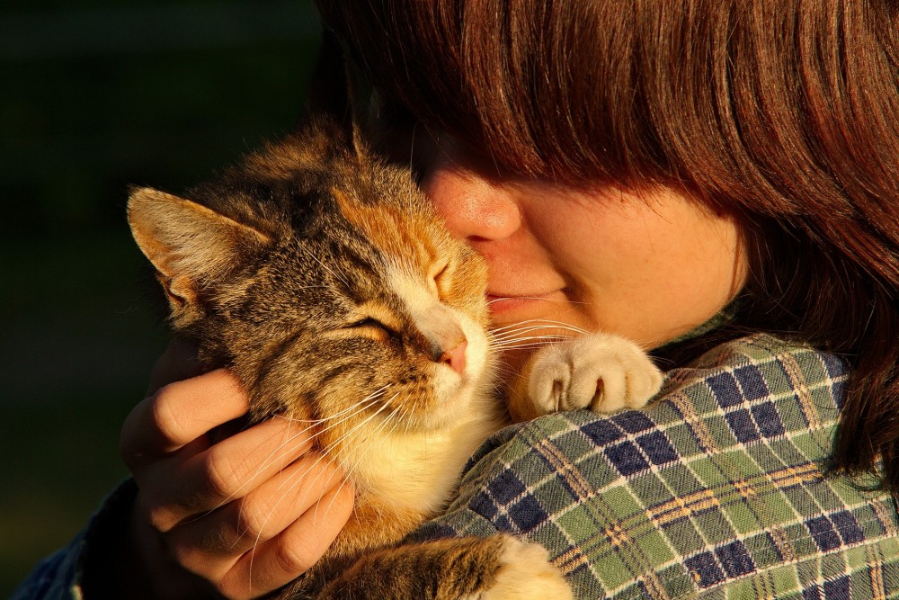 【犬と猫の避妊・去勢】アイキャッチ画像