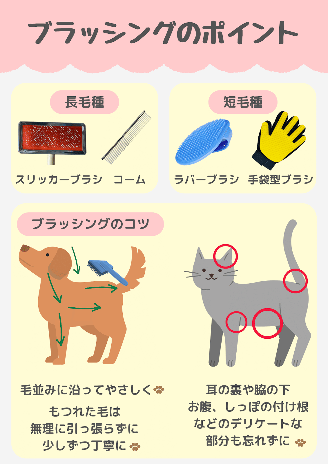 この画像は、犬や猫のブラッシングのポイントを解説したものです。長毛種にはスリッカーブラシやコーム、短毛種にはラバーブラシや手袋型ブラシが適しています。ブラッシングのコツとして、毛並みに沿って優しく行い、もつれた毛は無理に引っ張らず少しずつ丁寧にとかします。猫の場合は耳の裏や脇の下、お腹、しっぽの付け根などのデリケートな部分も忘れずにケアすることが大切です。